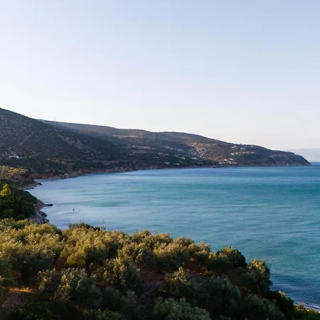 Nazar Xiropigado
